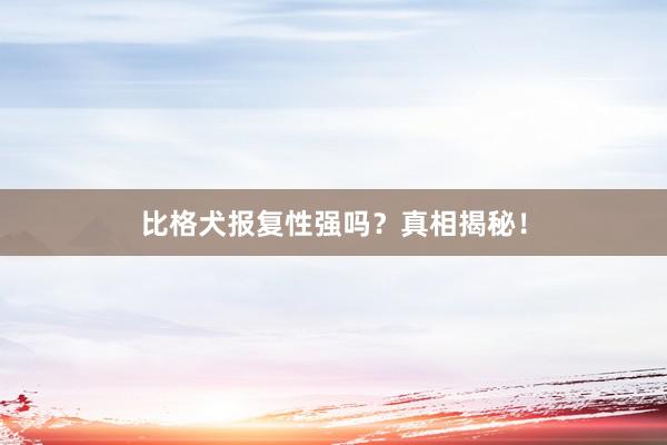 比格犬报复性强吗？真相揭秘！