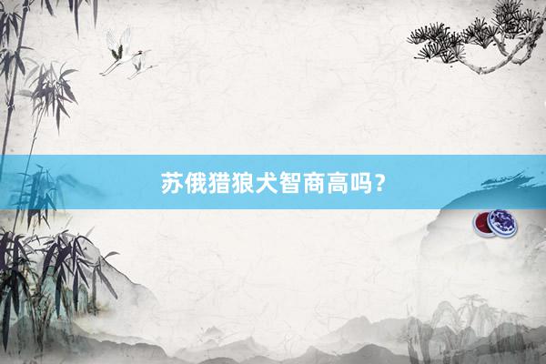 苏俄猎狼犬智商高吗？